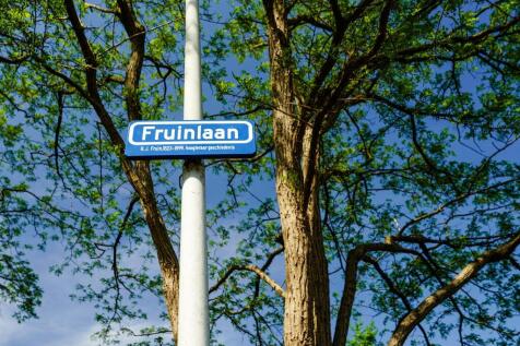 Fruinlaan 6 2313 ER LEIDEN image 96