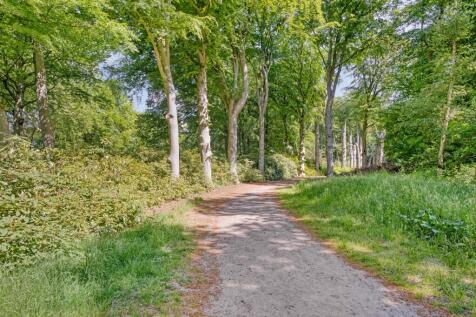 Herenweg 88 2361 EV WARMOND image 67