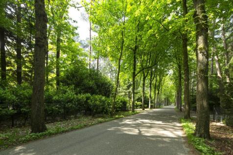 Hondsbergselaan 3 5062 JR OISTERWIJK image 25