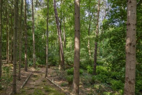 Rietven 6 5427 LP BOEKEL image 43