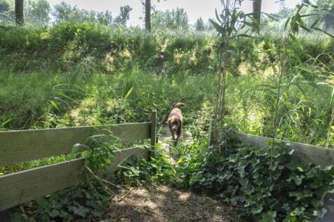 Scheggertdijk 84 7218 NP ALMEN image 56