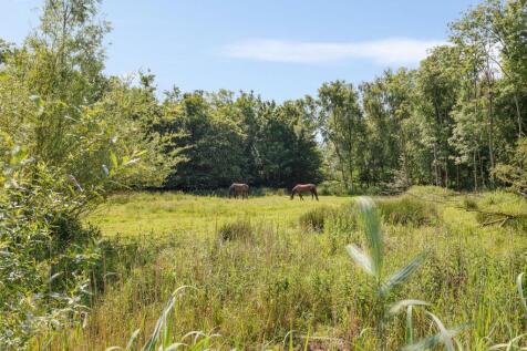 Oudeschouw 8 8491 MP AKKRUM image 68