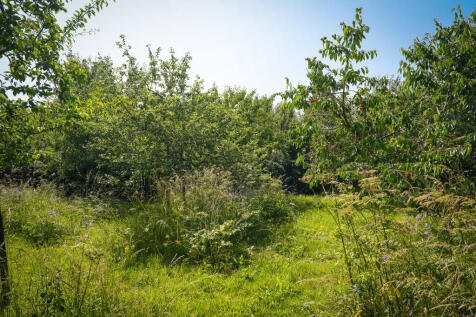 Provincialeweg 28 5398 JM MAREN-KESSEL image 61