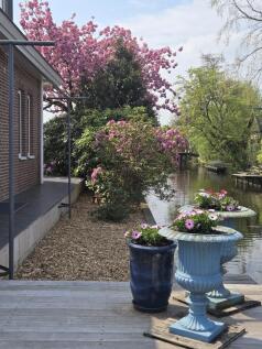 Park Zomerlust 71 2435 NG ZEVENHOVEN image 4