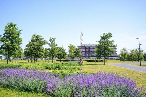 Nederhoflaan 12 2553 EW &#39;S-GRAVENHAGE image 45