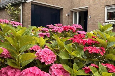 Lijsterlaan 2 b 2665 TK BLEISWIJK image 6