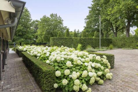 Dennendijk 6 7274 AV GEESTEREN image 68