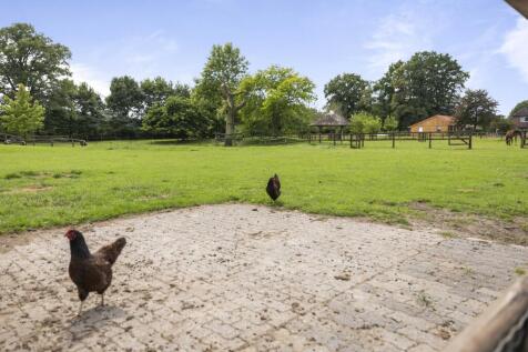 Dennendijk 6 7274 AV GEESTEREN image 85