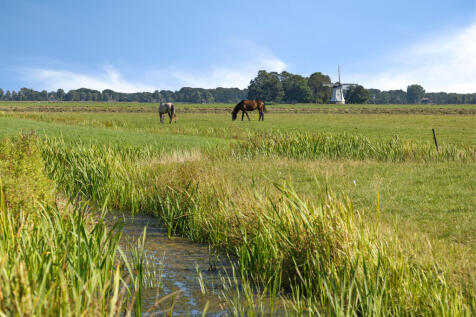 Hoofdweg 112 9112 HT BURDAARD image 12