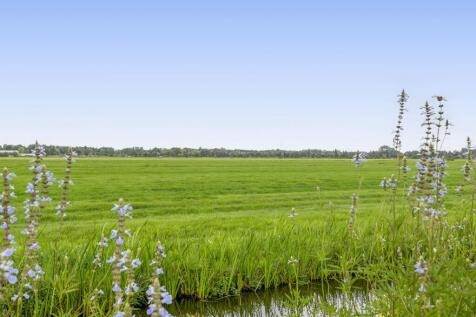 Tiendweg-West 32 2941 ER LEKKERKERK image 83