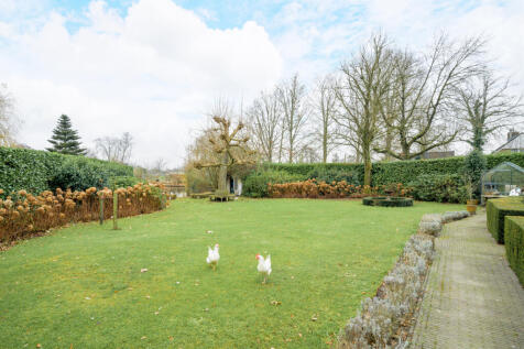 Ameroever 64 4926 ED LAGE ZWALUWE image 41