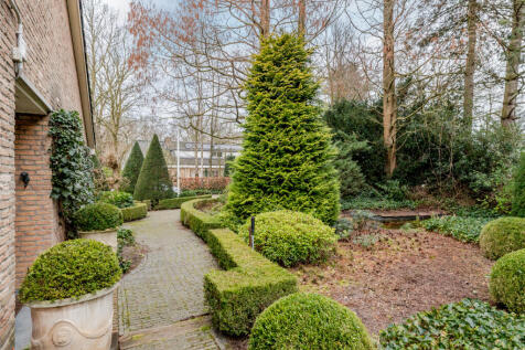Ameroever 64 4926 ED LAGE ZWALUWE image 48