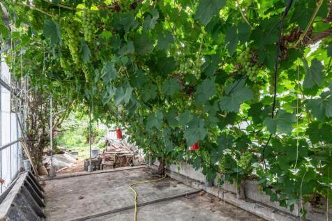 Oudeweg 78 2631 PB NOOTDORP image 47