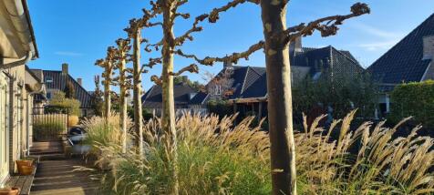 Valentijnsingel 16 2461 SW TER AAR image 58