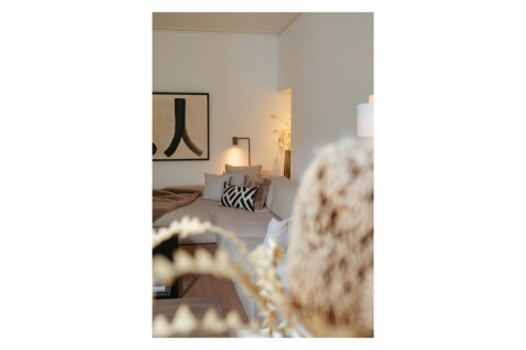 De Lairessestraat 6 2M 1071 NZ AMSTERDAM image 15