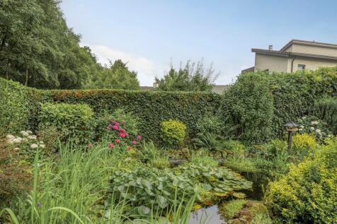 Bilzekruid 11 3903 GN Veenendaal image 43