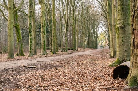 Zuylenburg 3 3904 JT Veenendaal image 40