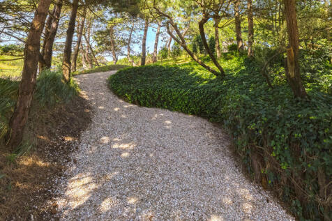 Dennenweg 8 2202 AC NOORDWIJK image 77
