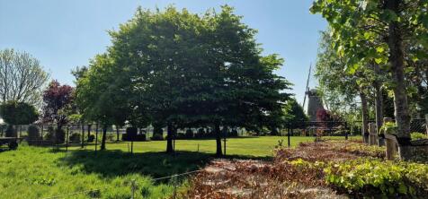 Akkerstraat 5 a 4724 SX WOUW image 6