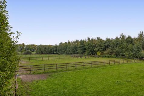 Dungensesteeg 10 5482 ZT SCHIJNDEL image 40