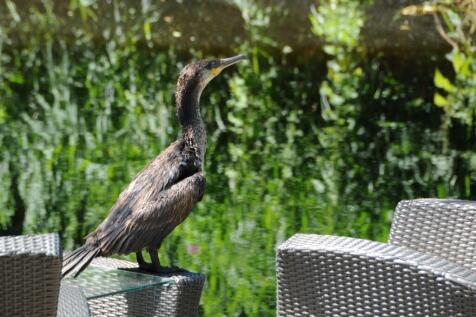 Van de Veldelaan 958 1816 PZ ALKMAAR image 37