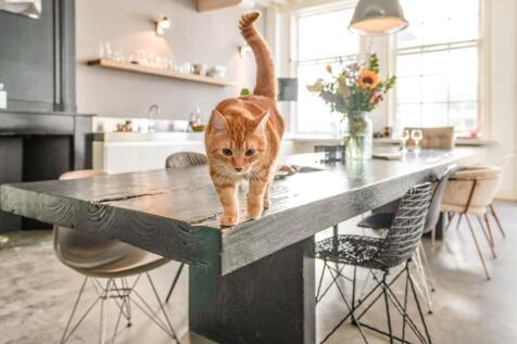 Nieuwe Rijn 17 2312 JC LEIDEN image 18