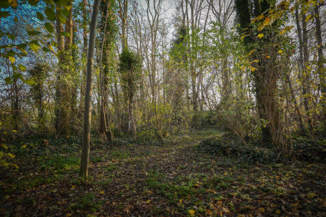 Korfgraaf 24 4174 GM HELLOUW image 66