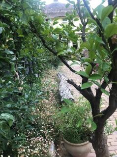 Kerkewijk 106 3904 JG Veenendaal image 70