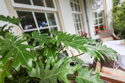 Karnemelksweg 2 3749 AH LAGE VUURSCHE image 52