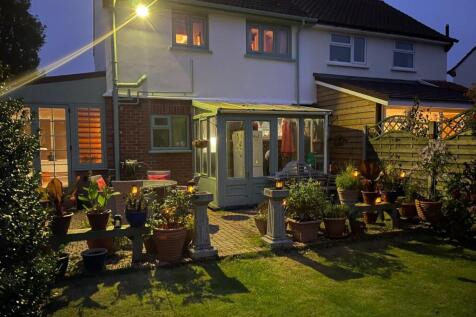 Nightime Garden 2.jpeg