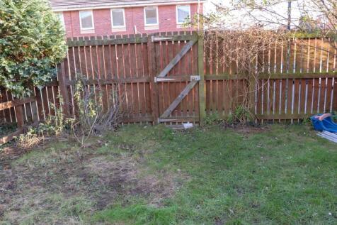 Picture 9