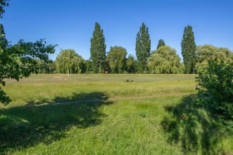 Picture 13