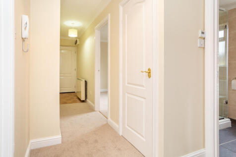 Picture 11