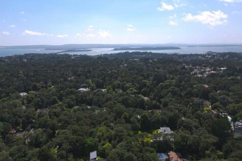 Untitled_HDR-2.jpg