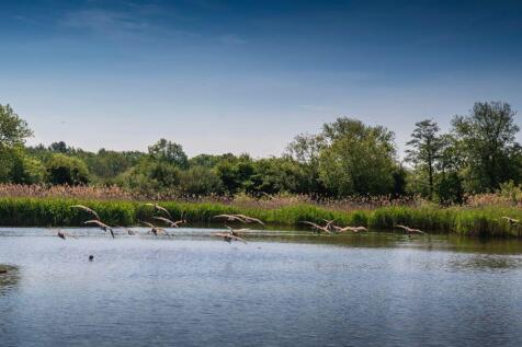 vb1481545_27600_sout