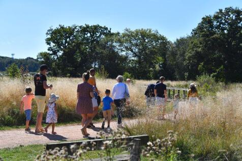 vb1565405_27706_DSC_