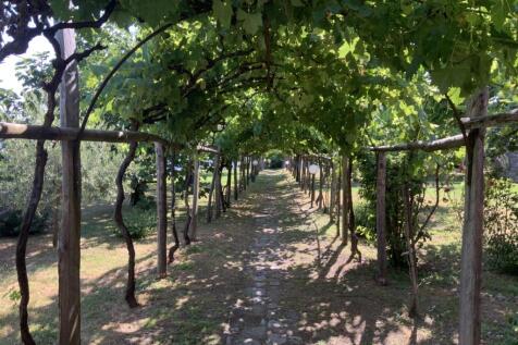 pergola