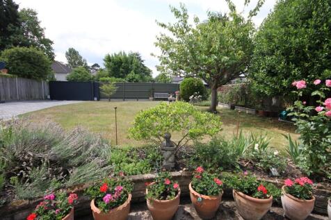 rear sunny garden .JPG