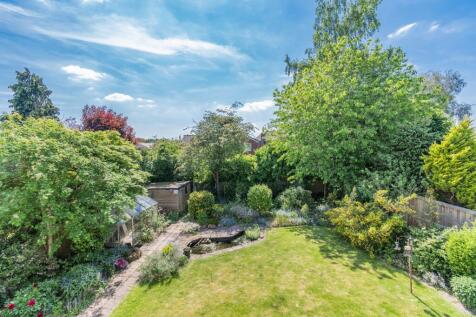 Back garden