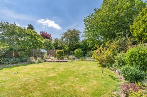 Back Garden