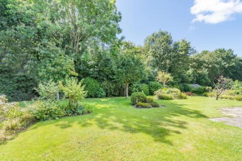 Garden to rear