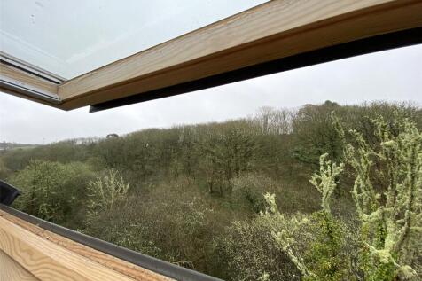 Woodland View