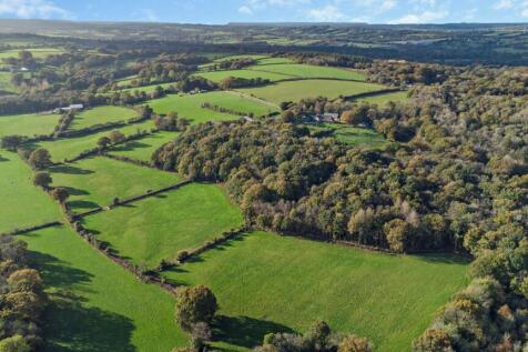 Grounds
