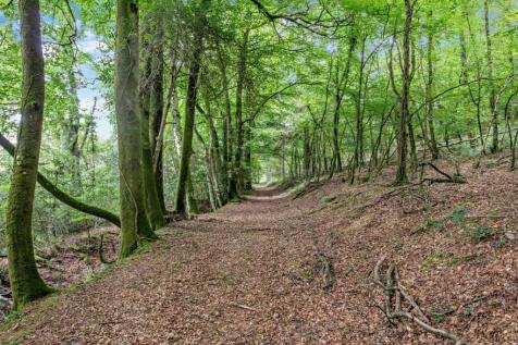 Woodland