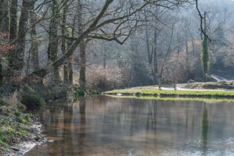 Fishing Pond