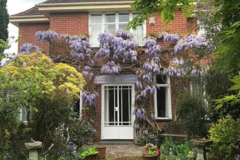 Wisteria 2024