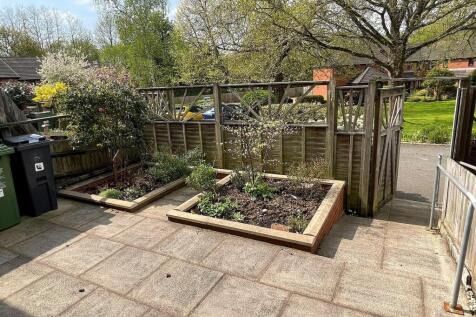 Rear Patio Garden
