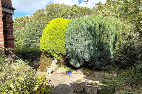 Side Garden Area