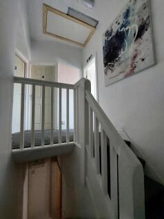 20231114_115149.jpg