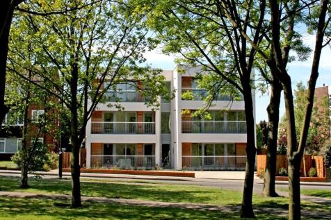 External
